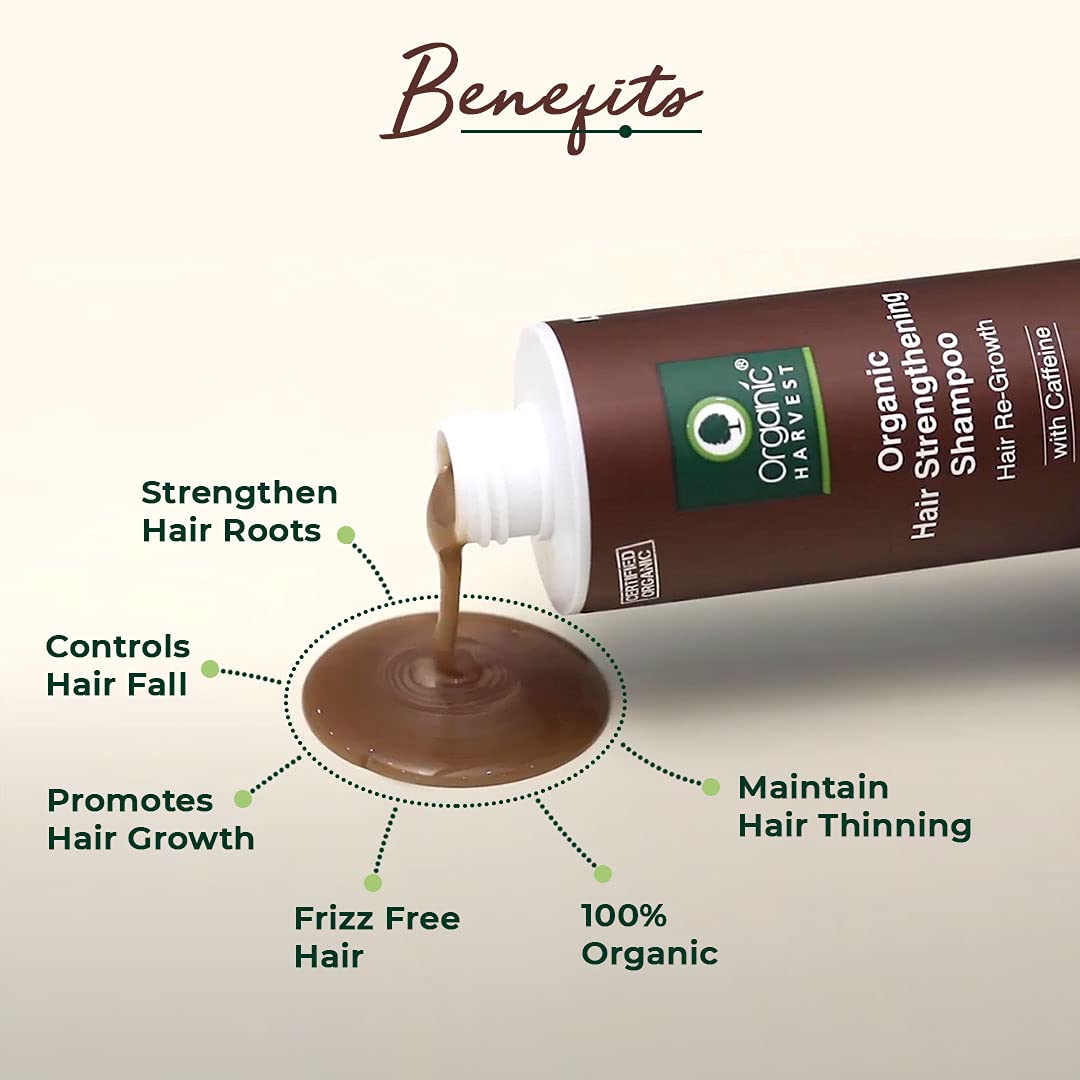 Everyday Shampoo: Coffee & Walnuts | For Dry & Frizzy Hair | Anti-hairfall Shampoo - 250ml