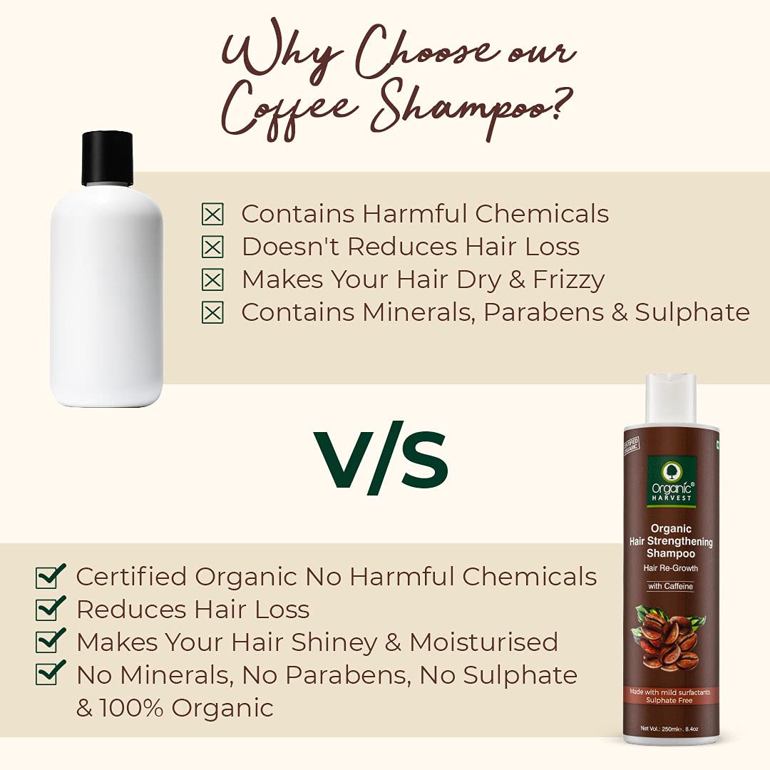 Everyday Shampoo: Coffee & Walnuts | For Dry & Frizzy Hair | Anti-hairfall Shampoo - 250ml