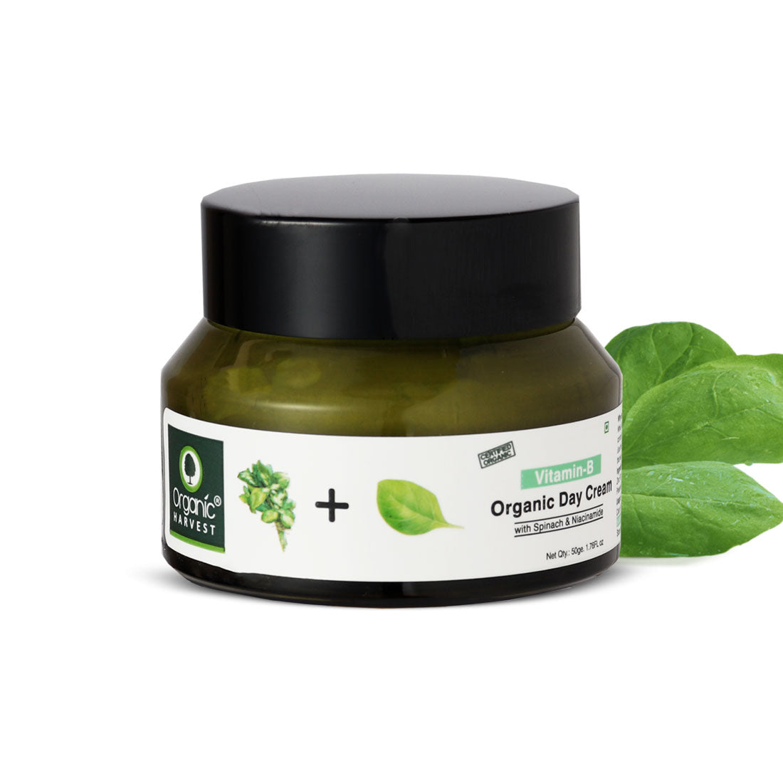 Acne Control Mattifying Day Cream: Green Tea & Moringa | For Acne-prone Skin - 50gm