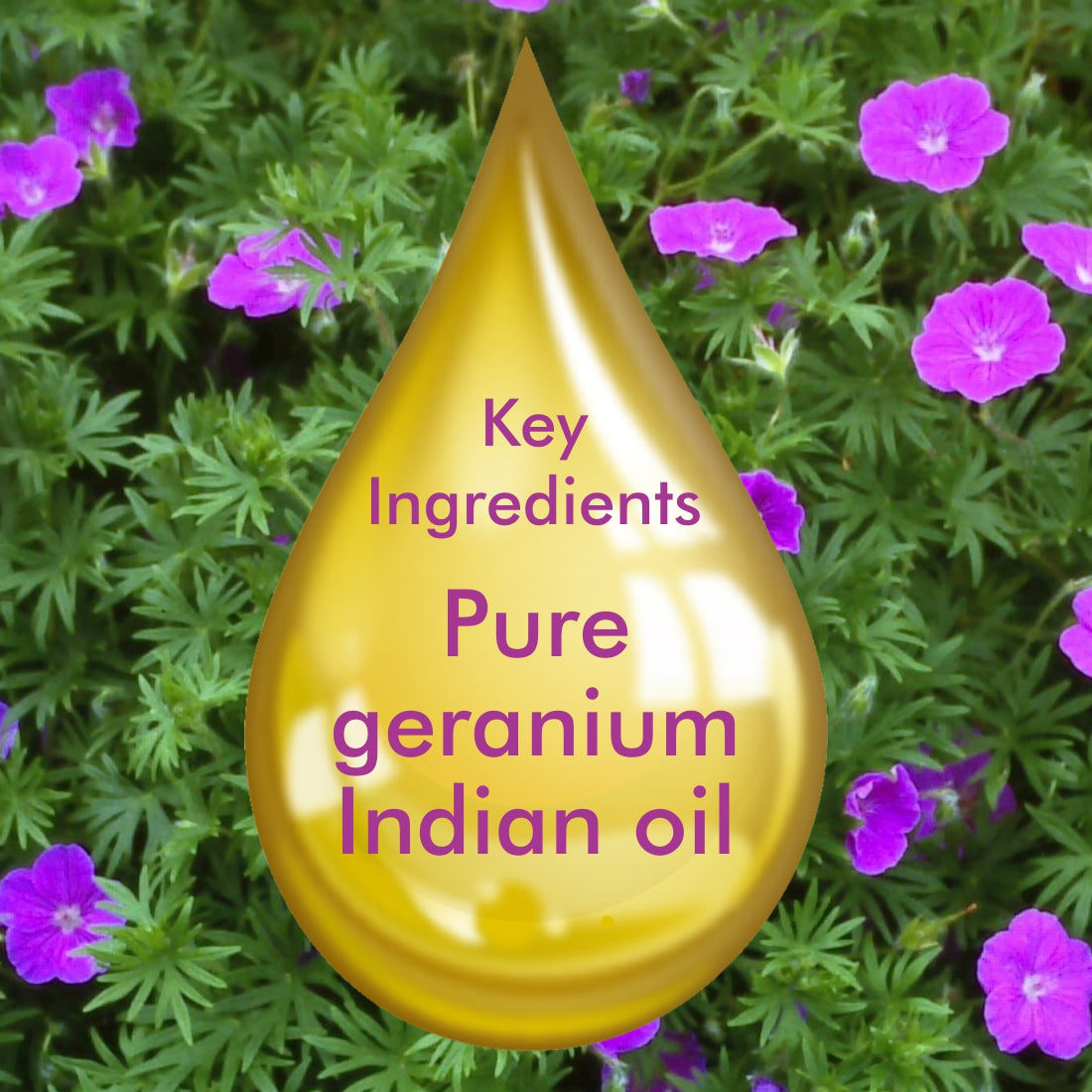 Geranium Essential Oil