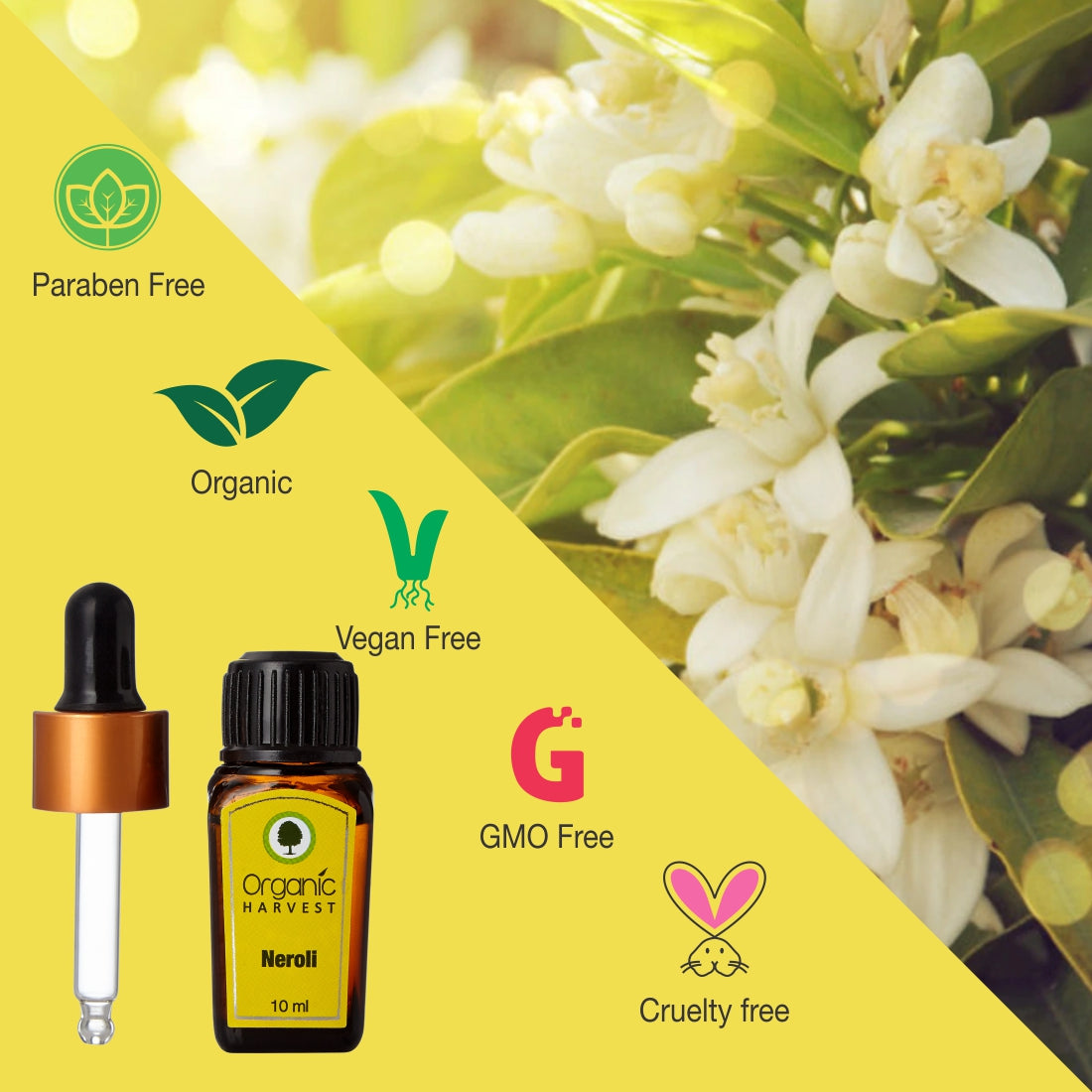 Neroli Essential Oil, For Skin Moisturization, Stress & Anxiety Reliever, Face, Hair Care, Excellent for Aromatherapy - 10ml