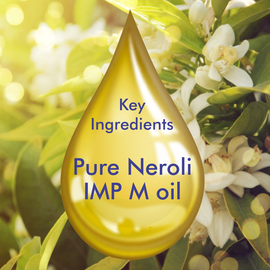 Neroli Essential Oil, For Skin Moisturization, Stress & Anxiety Reliever, Face, Hair Care, Excellent for Aromatherapy - 10ml