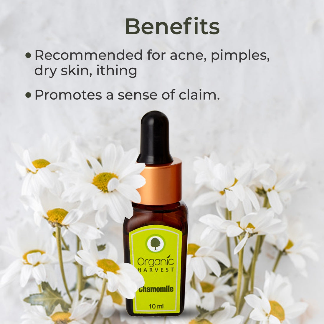 Chamomile Essential Oil