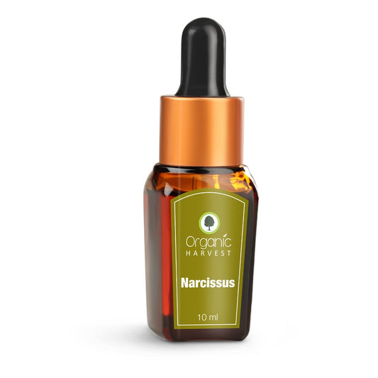 Narcissus Essential Oil