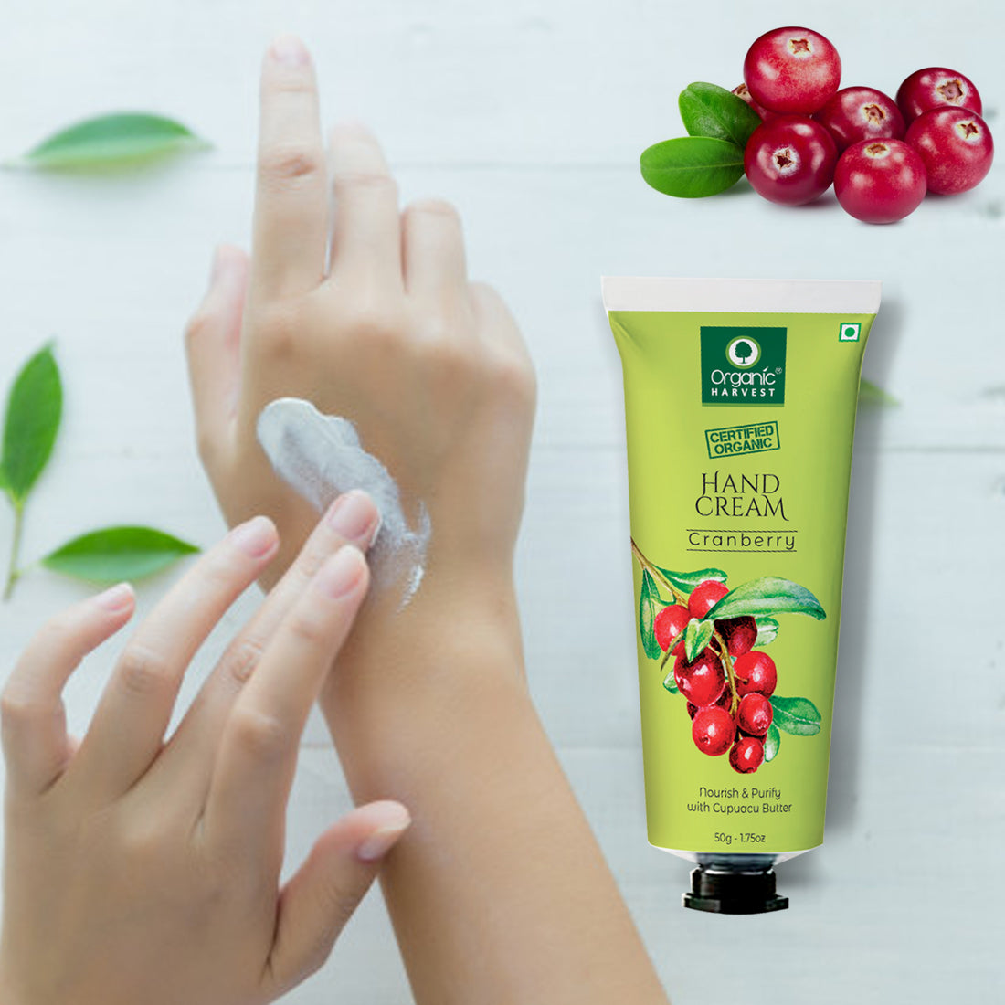 Organic Harvest Hand Cream