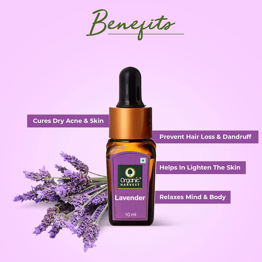 Lavender Essential Oil