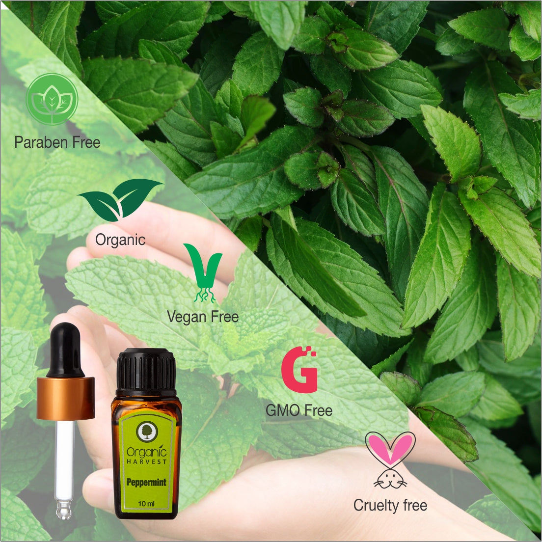 Pepper Mint Essential Oil