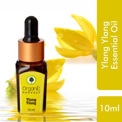 Ylang Ylang Essential Oil