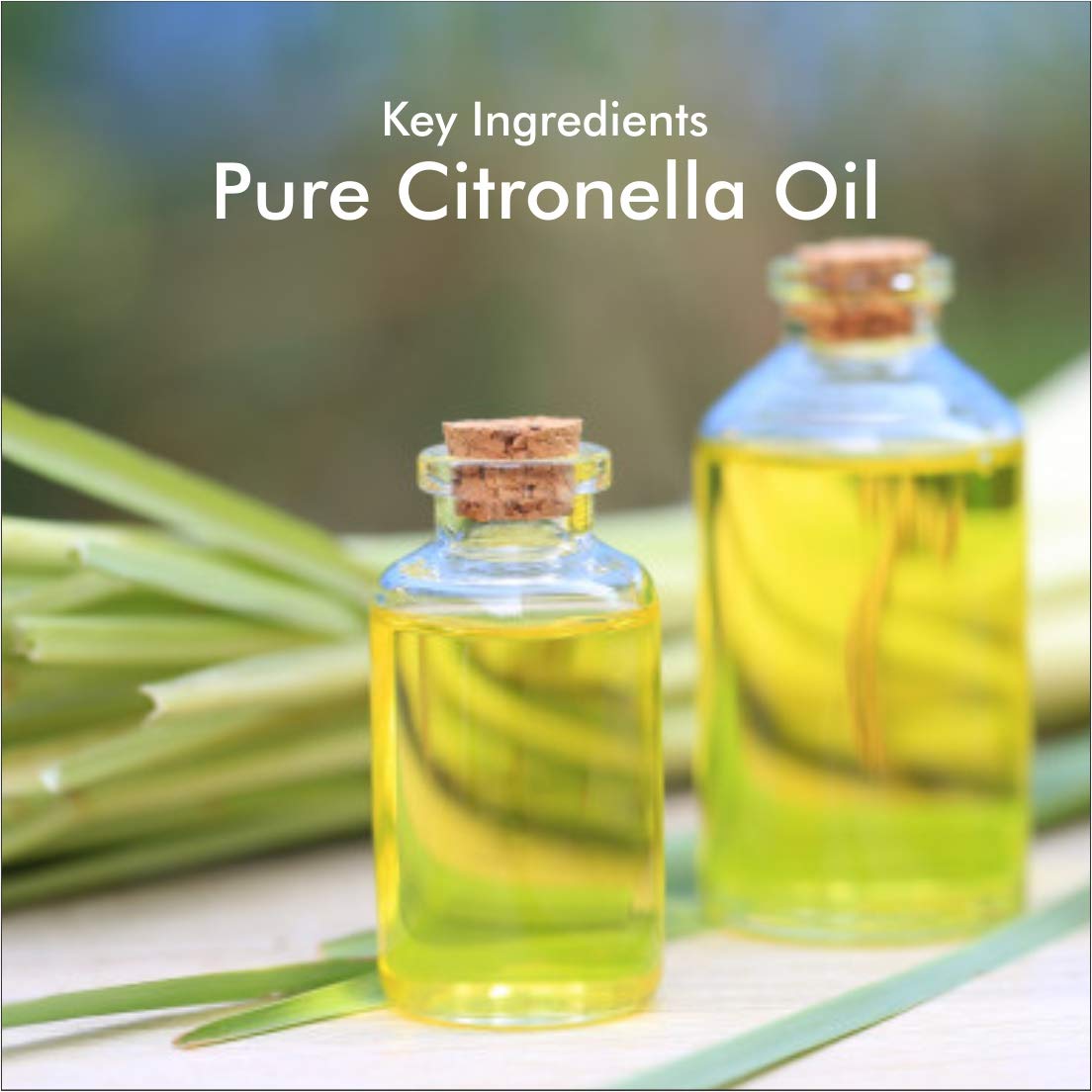 Organic Harvest Citronella Essential Oil