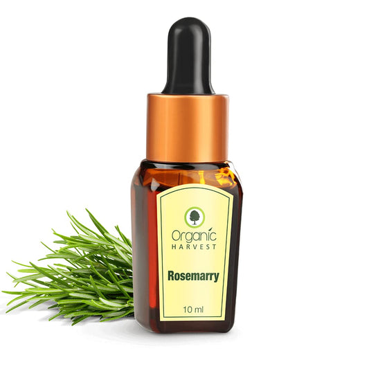 Organic Harvest Rosemary Essential Oil