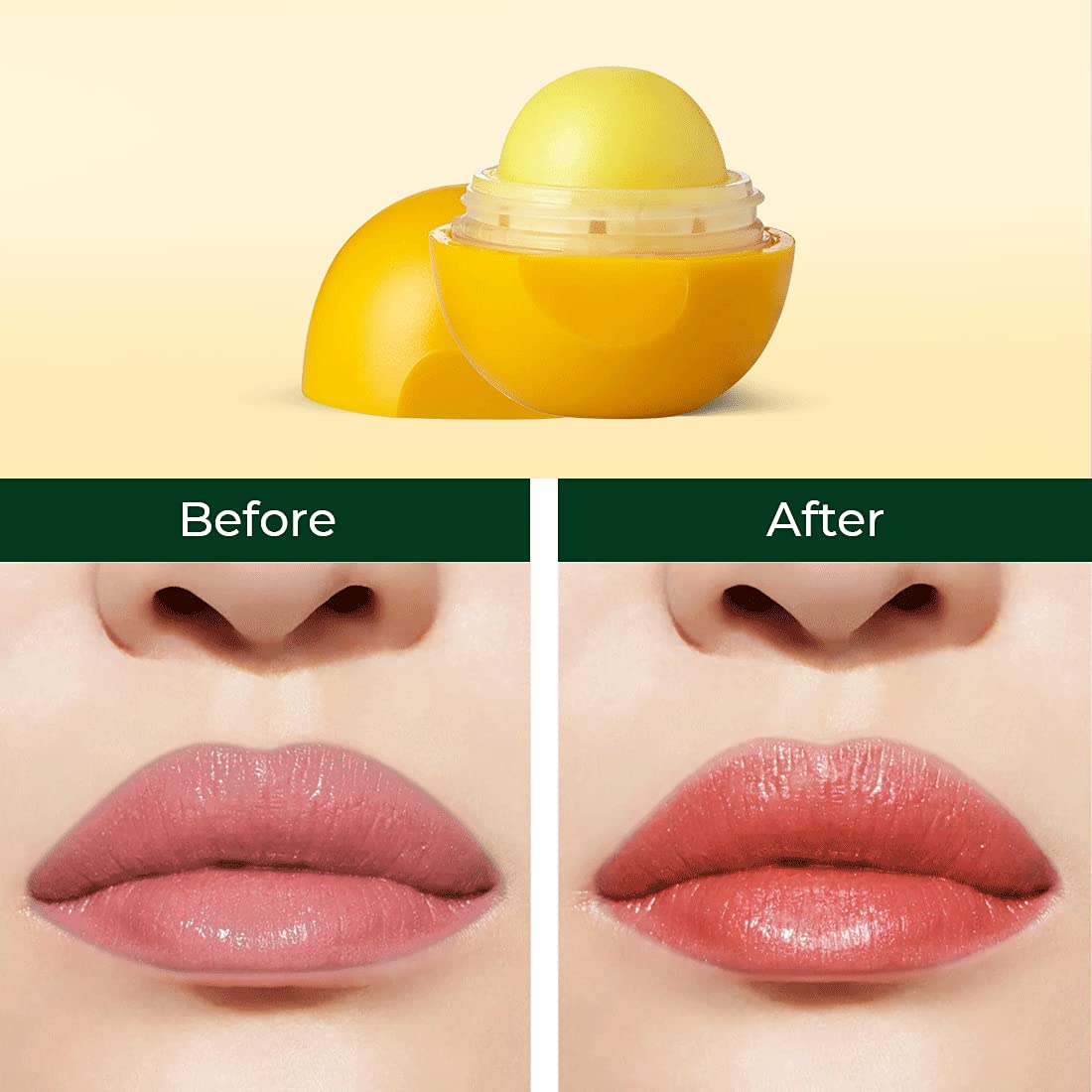 Moisturizing Lip Balm: Shea Butter - 8gm