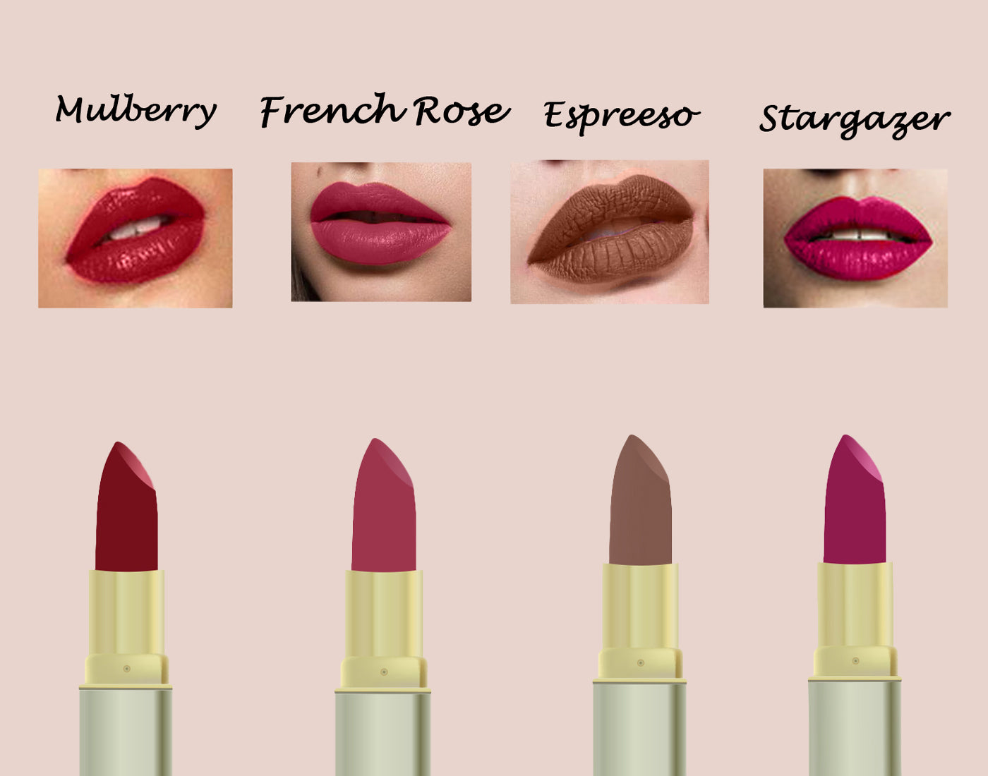 Asmee - Combo of 4 lipsticks - Stargazer, Mulberry, Espresso, French Rose